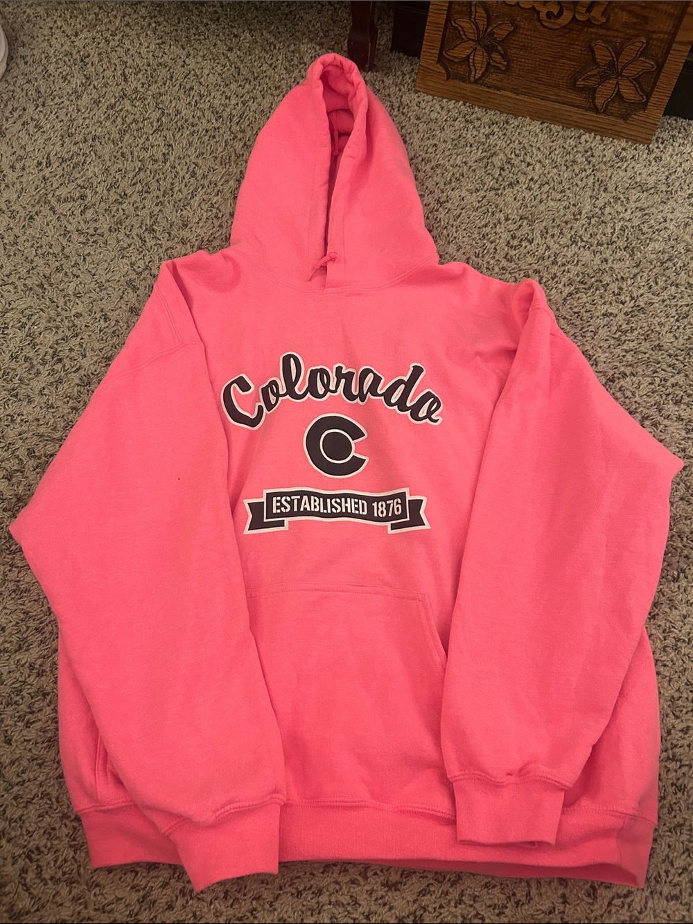 Gildan Pink Colorado Hooded Sweatshirt